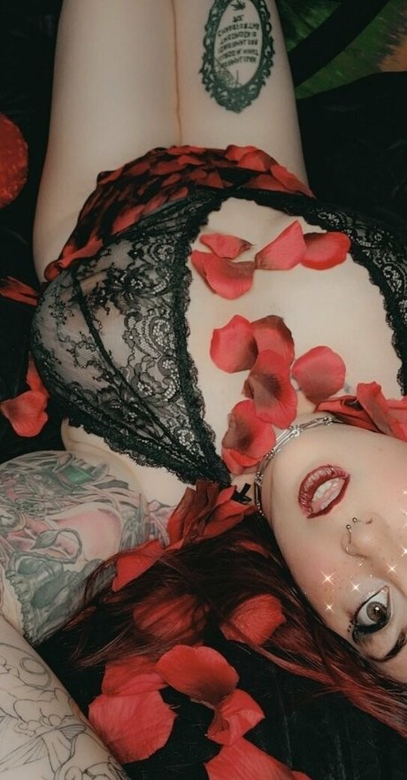 paradox 5683 estrella porno atractiva galería