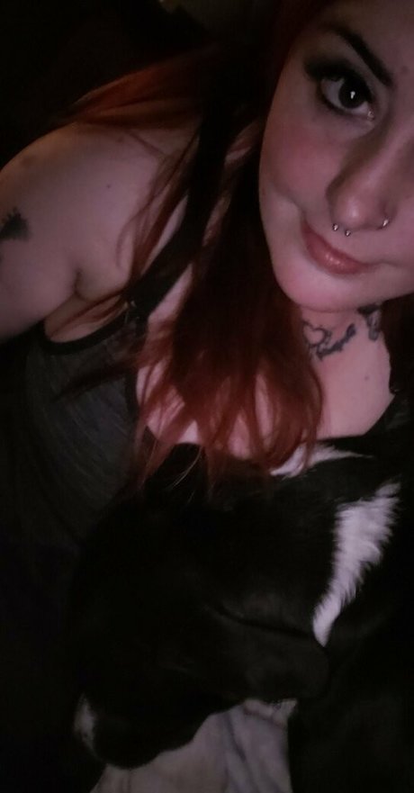 paradox 5683 estrella porno perfecta galería