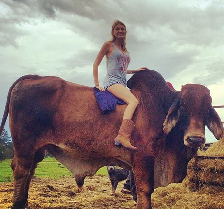 Krystal Gable estrella caliente recopilación