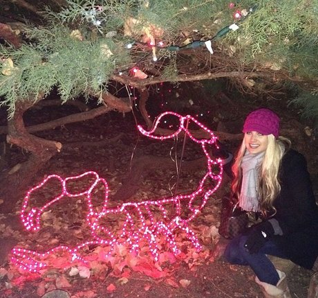 Krystal Gable estrella porno mejor recopilación