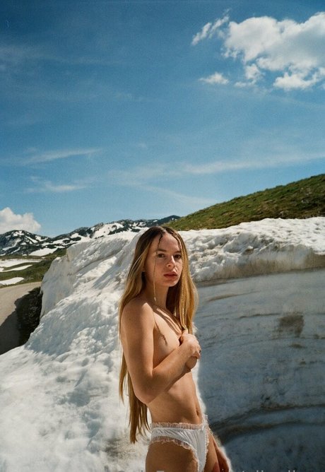 alinalizm estrella agradable imagen