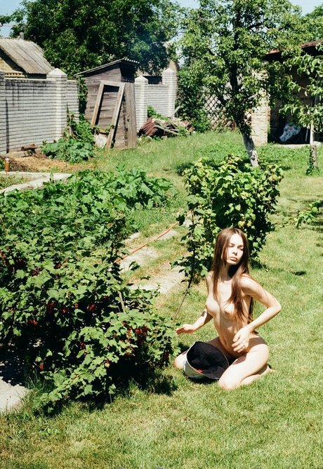 alinalizm modelo recopilación