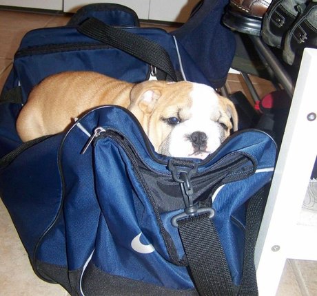 Courtney Craib desnudos estrella recopilación