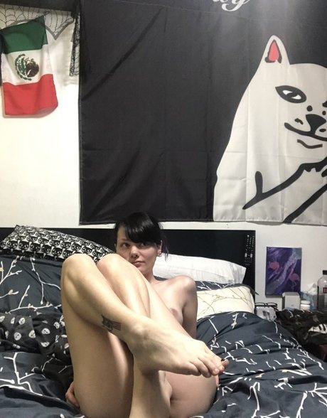 Skyla Rayne estrella porno superior archivo