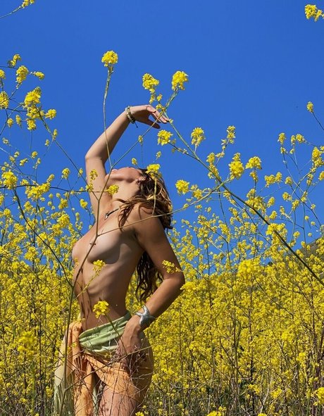 Jadegrce estrella del sexo imagen