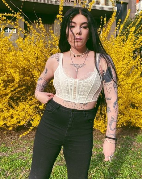 Ready To Glare mejor estrella foto