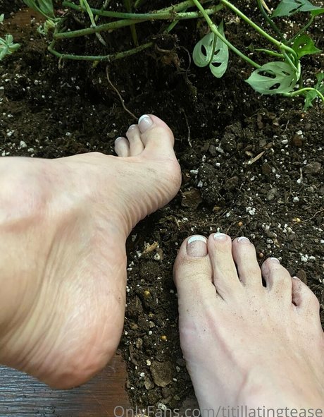 titillatingtease estrella del arte recopilación