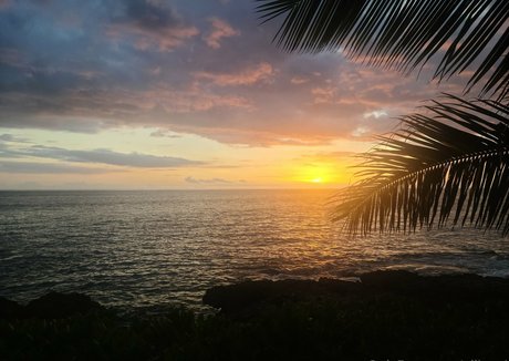 allisonj estrella porno adulto imágenes