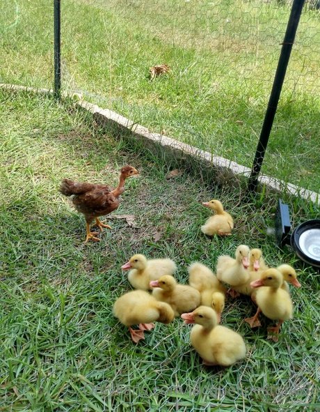 jacquelinestone56 actriz adulta recopilación