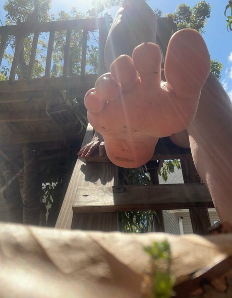 paisitafeetpao estrella hermosa imágenes