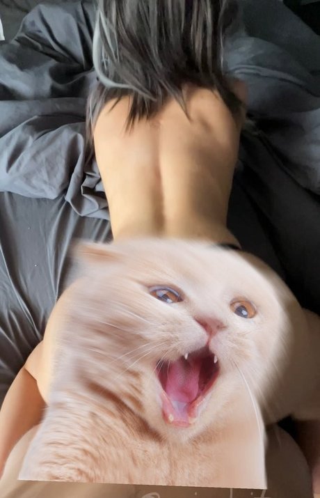 naiadeityy linda estrella archivo