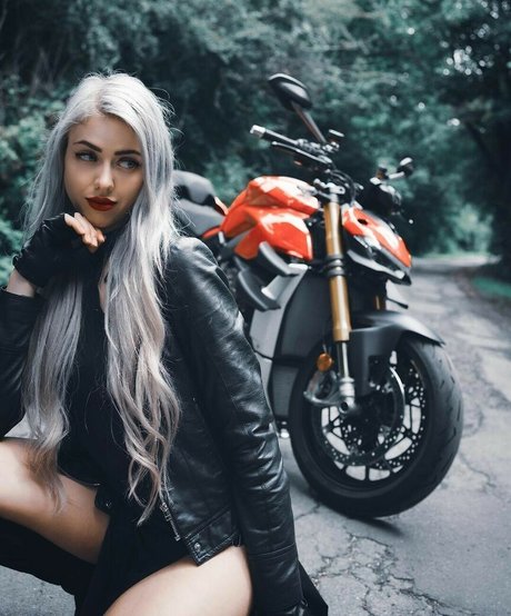 Farbenfuchs modelo superior foto