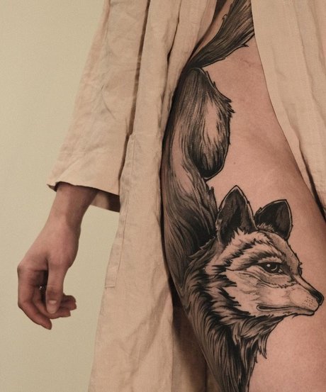 Farbenfuchs Profilfoto