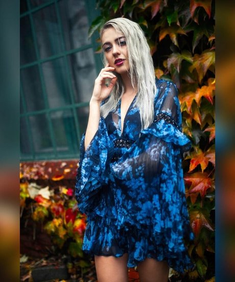 Farbenfuchs estrella libre foto