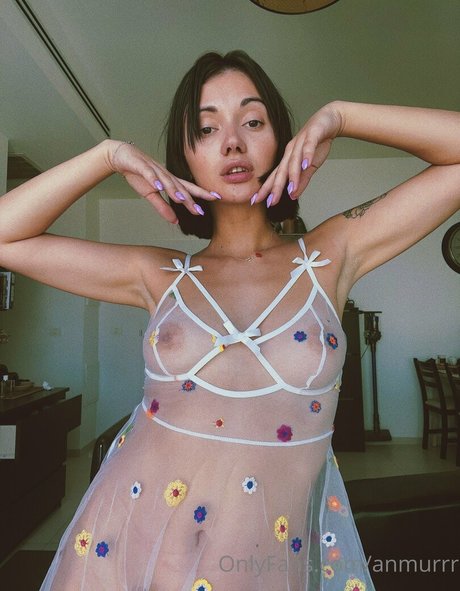 Sailormur estrella exclusiva galerías