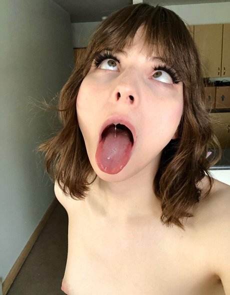 Abkazias modelo perfecto recopilación