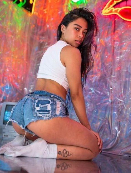 mfsunbear modelo gratis imagen