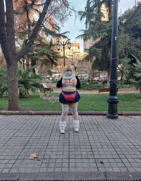 puppy grrr modelo superior archivo