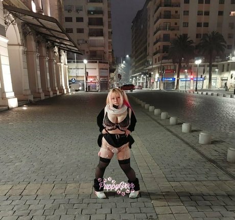 puppy grrr estrella exclusiva imágenes