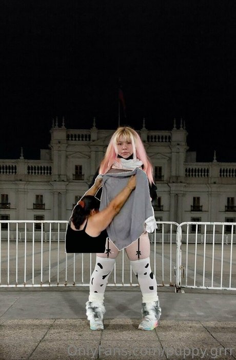 puppy grrr Fotoaufnahmen