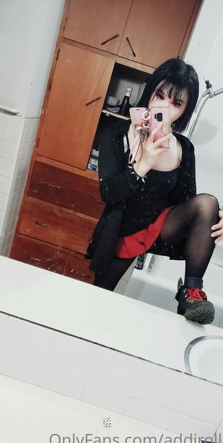 addiroll mejor modelo galería