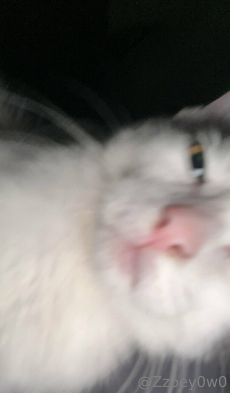 cyb3rb0t actriz adulta fotos