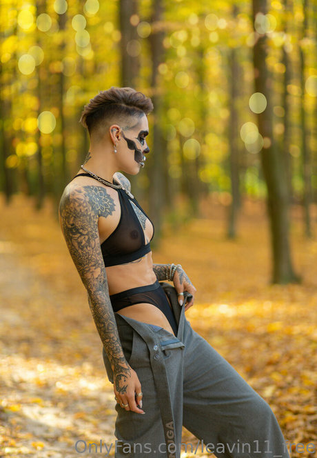 leavin11 free estrella archivo