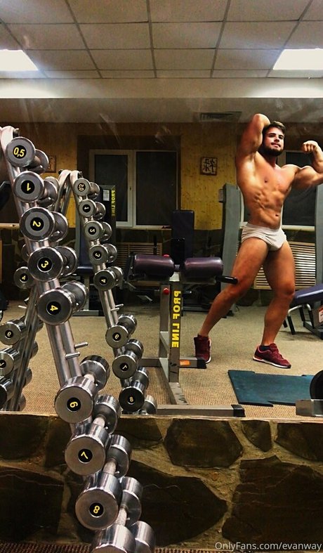 evanway estrella agradable foto