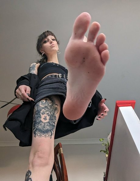 vi0let night modelo de alta calidad imagen