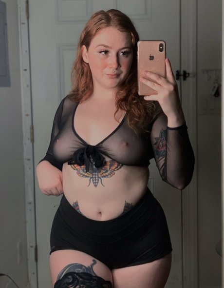 Xgingerspicex estrella perfecta foto