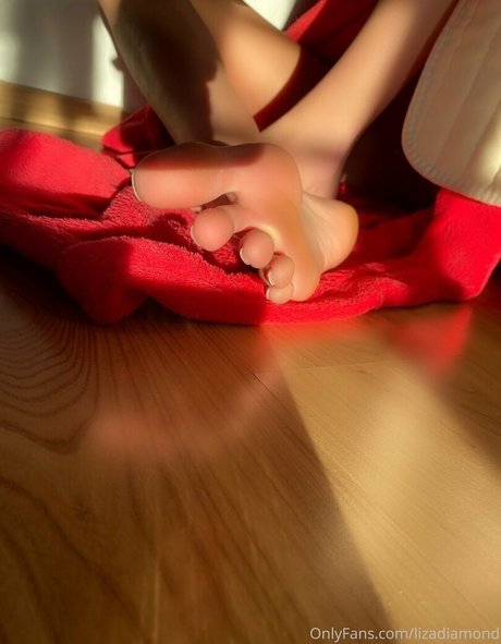 cuteelisen modelo superior galería