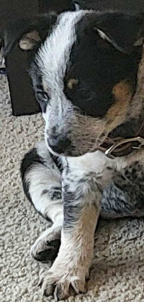 stellightbaby mejor actriz foto