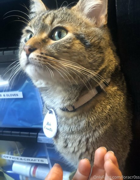 loracr0ss estrella adulta fotos