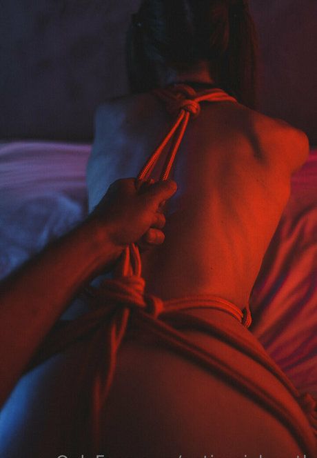 antisocial moth mejor estrella porno imagen