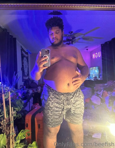 beefish Fotoaufnahmen