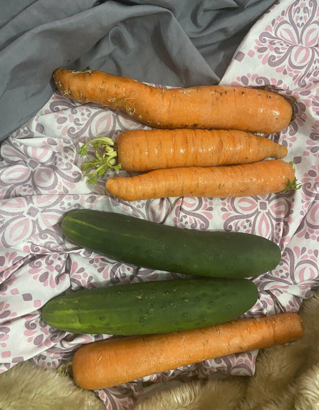 junebug3333 hermosa modelo fotos