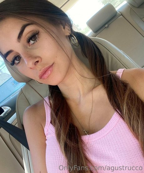 agustrucco estrella de alta calidad imagen