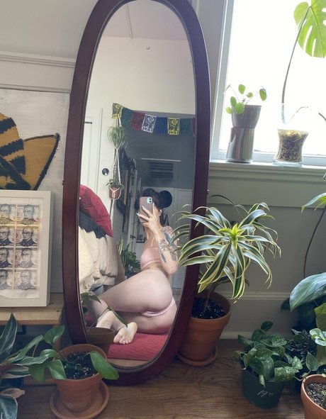 whoreticulture estrella bonita imágenes