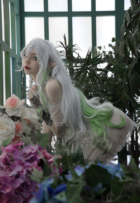 Flutterow modelo hd archivo