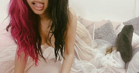 taylorhenriesvip mejor estrella imagen