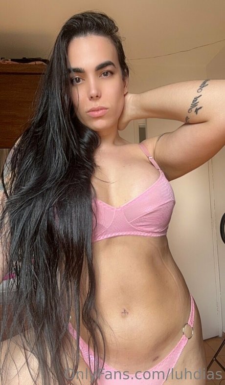 luhdias modelo recopilación