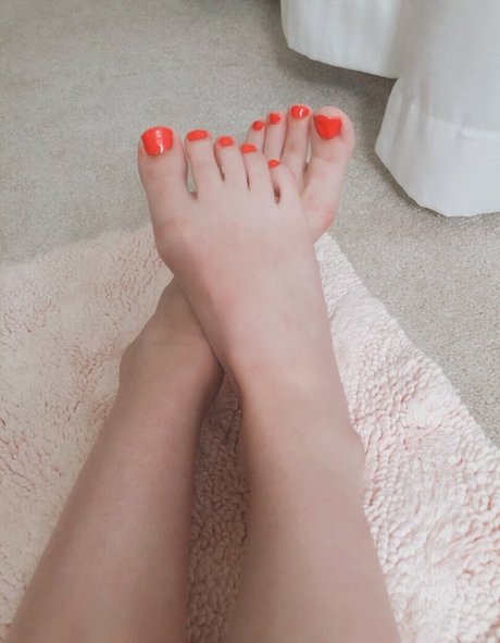 Honeyrabbiit estrella caliente foto