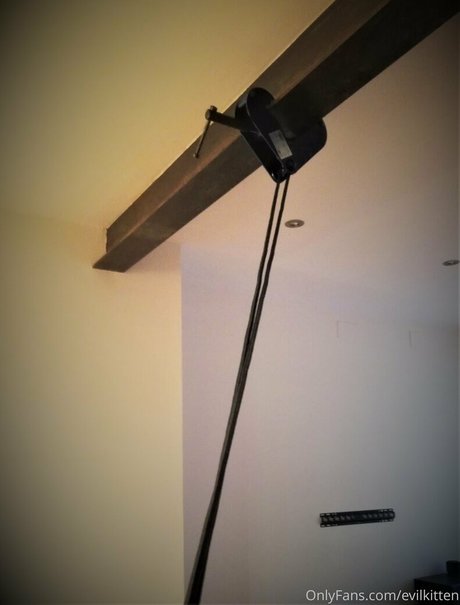 evilkitten actriz imagen