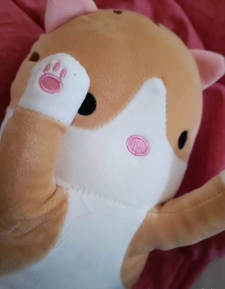 mysecretfairy actriz de desnudos galería