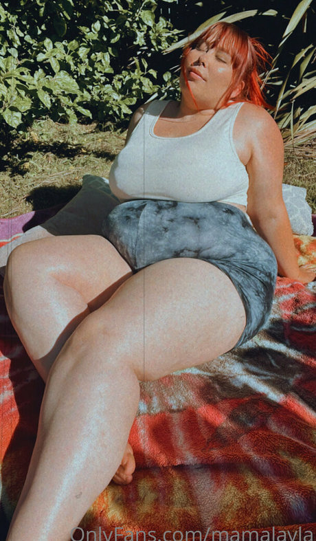 mamalayla libre de estrellas galerías