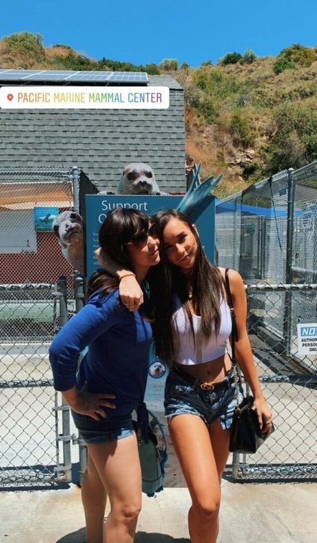 X a n t h e modelo archivo