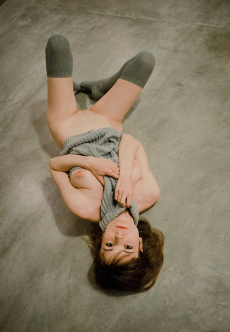 solo fans de amas de casa arte de alta calidad archivo