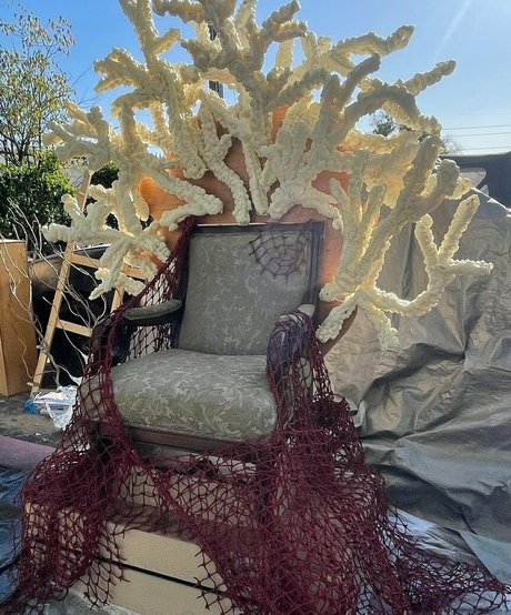 elizabethreed estrella hermosa galerías