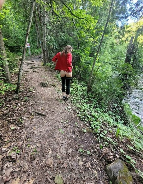 violet scarlet estrella de alta definición imágenes