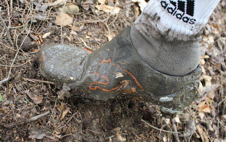 islandermud desnudos de estrellas porno archivo